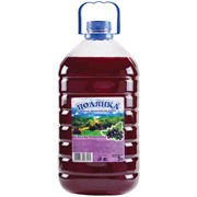 Мыло жидкое ПОЛЯНКА прозрачное 5л, ПЭТ, канистра с ручкой, в ассортименте